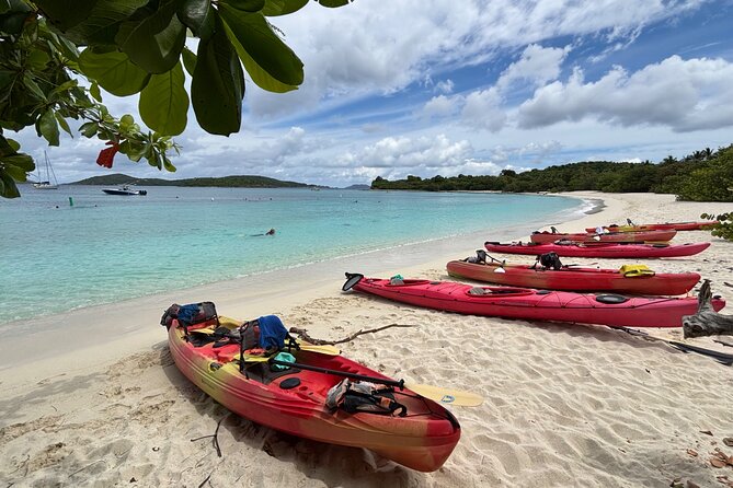 Kayak & Snorkel with Sea Turtles, National Park, St. John - Fitness, timing, and practical concerns