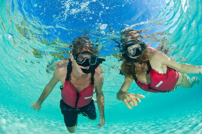Kayak & Snorkel with Sea Turtles, National Park, St. John - The shaded walk to Turtle Point