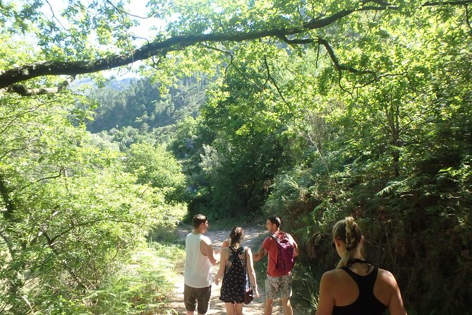 Kayaking and Waterfall in Peneda-Gerês National Park from Porto - How active is this Porto day trip?