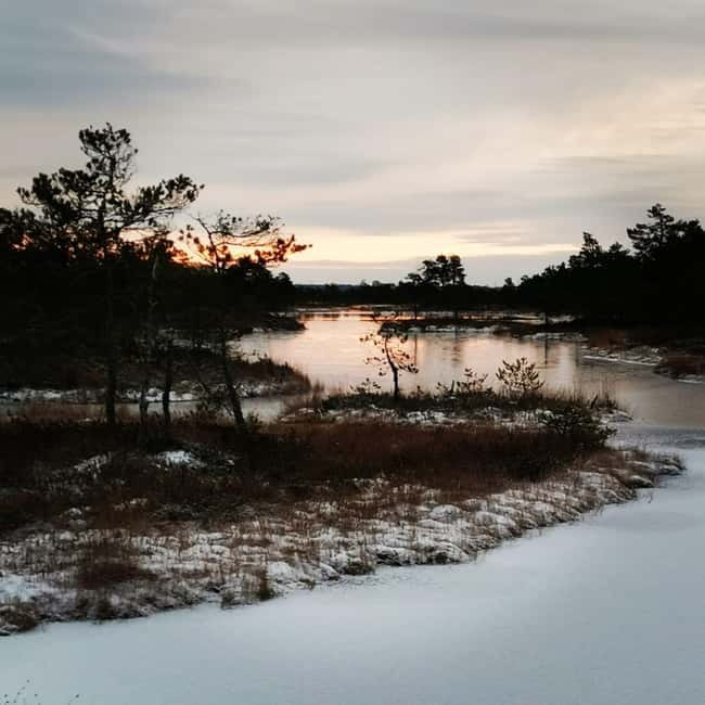 Kemeri National Park Bog Trail near Riga - Is $88 a fair price?