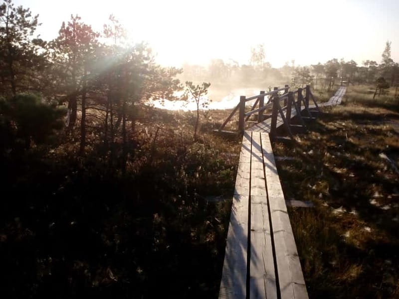 Kemeri National Park Bog Trail near Riga - Why this makes a good escape from Riga