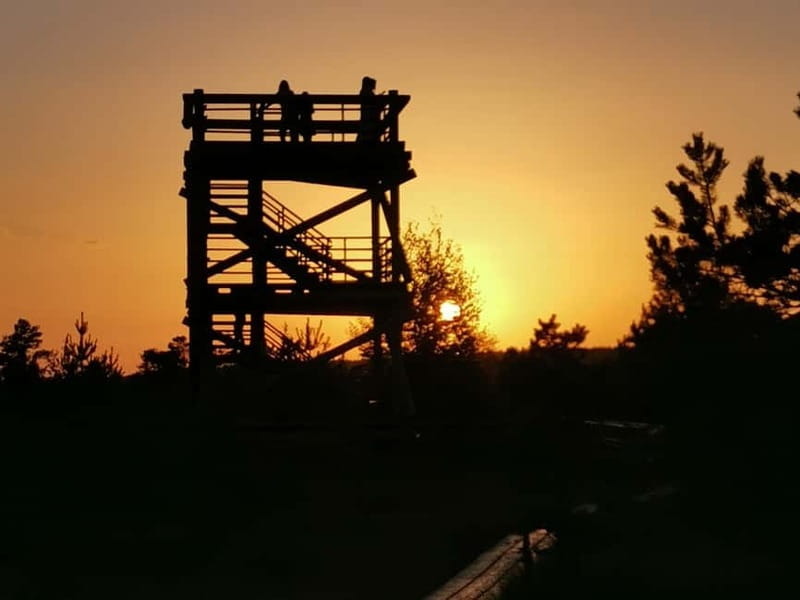 Kemeri National Park Bog Trail near Riga - The 8-meter tower view