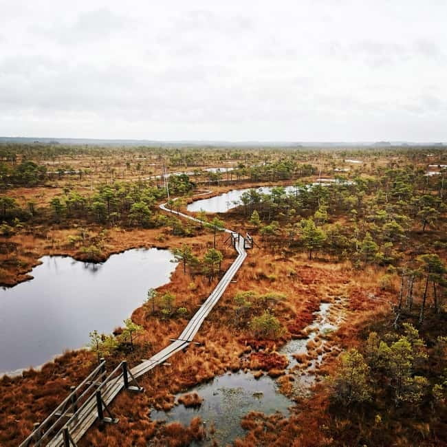 Kemeri National Park Bog Trail near Riga - What Kemeri’s resort past adds