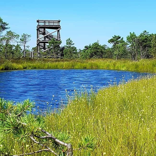 Kemeri National Park Bog Trail near Riga - Jurmala brings in the Baltic Sea