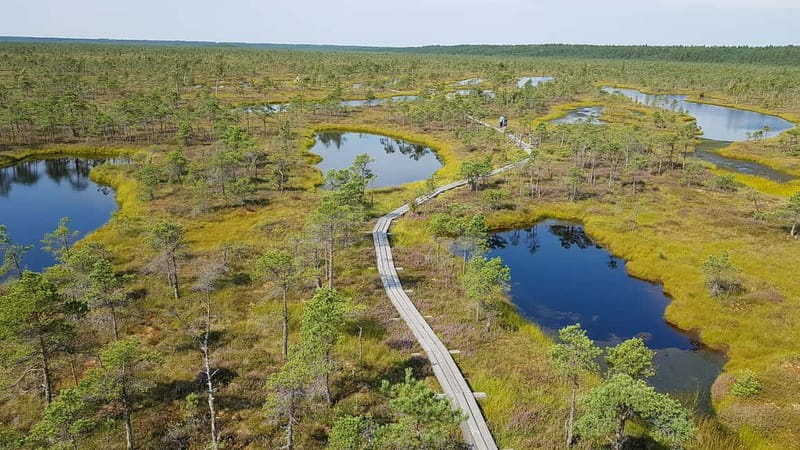 Kemeri National Park Bog Trail near Riga - The drive from Riga or Jurmala