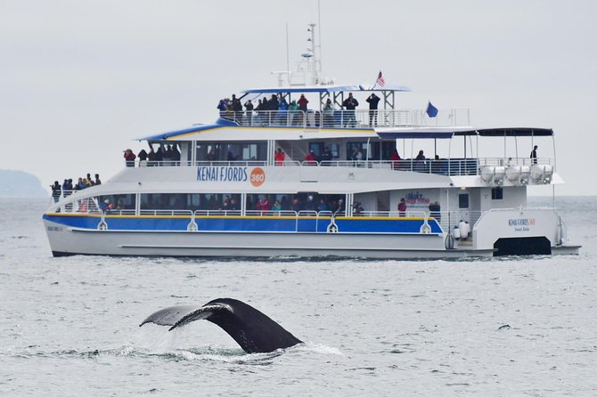 Kenai Fjords National Park Glacier & Wildlife Cruise - Leaving Seward through Resurrection Bay