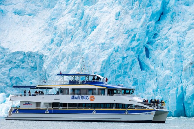 Kenai Fjords National Park Glacier & Wildlife Cruise - Wildlife watching without false promises