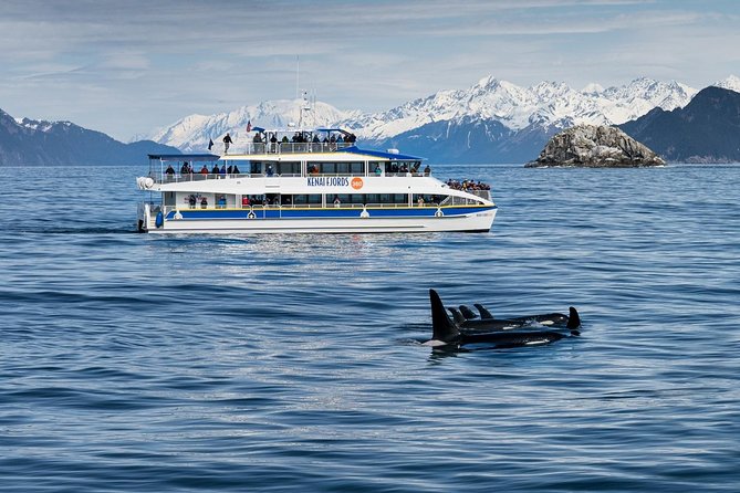 Kenai Fjords National Park Glacier & Wildlife Cruise - What lunch and the cabin are really like