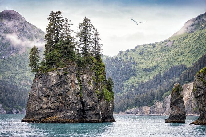 Kenai Fjords National Park Glacier & Wildlife Cruise - Who will enjoy this cruise most