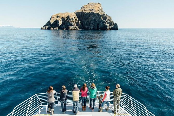 Kenai Fjords National Park Glacier & Wildlife Tour from Seward - Cape Ailiak and Aialik Bay