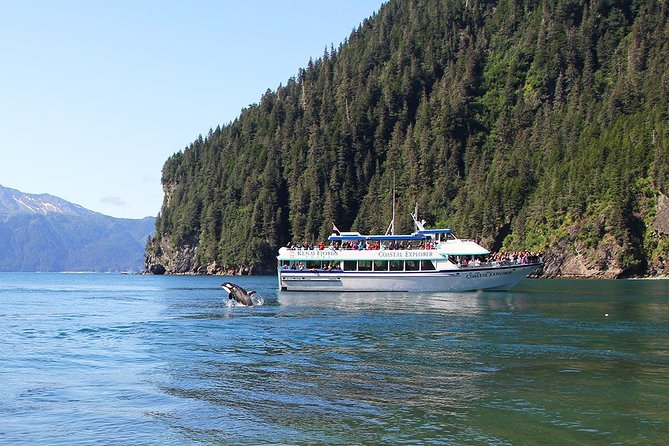 Kenai Fjords National Park Glacier & Wildlife Tour from Seward - Aialik or Holgate Glacier