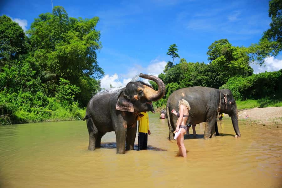 Khao Lak: Khao Sok National Park Overnight Treehouse Trip - FAQ