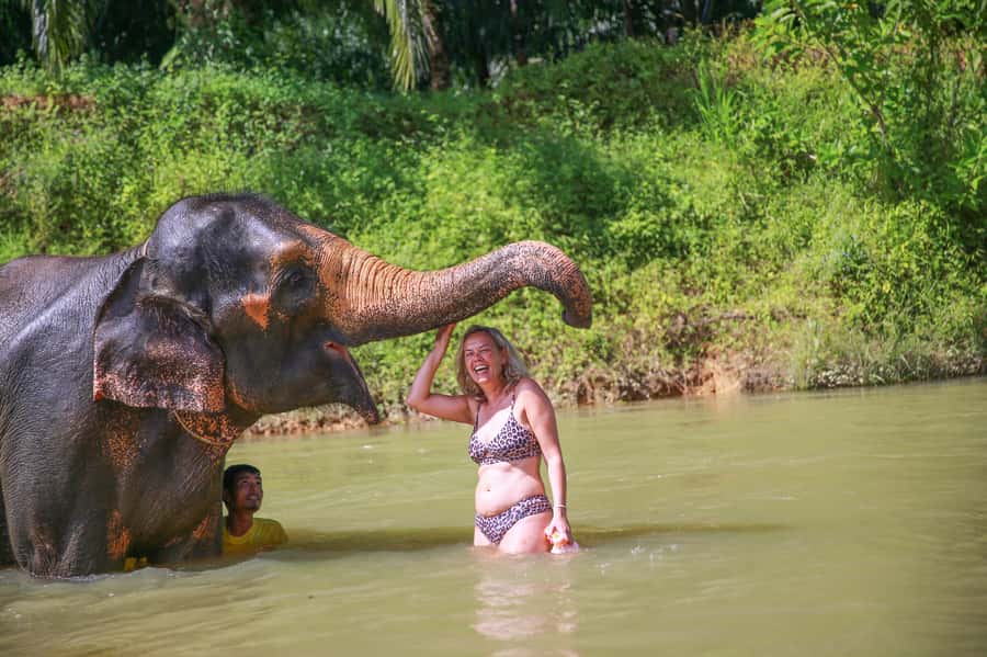 Khao Lak: Khao Sok National Park Overnight Treehouse Trip - Day one: market stops, elephants, and the river