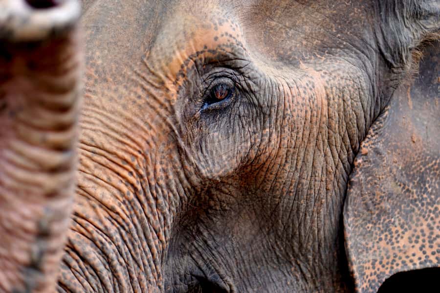 Khao Yai National Park: 2-Day Private Tour from Bangkok - What the $337 Price Really Buys
