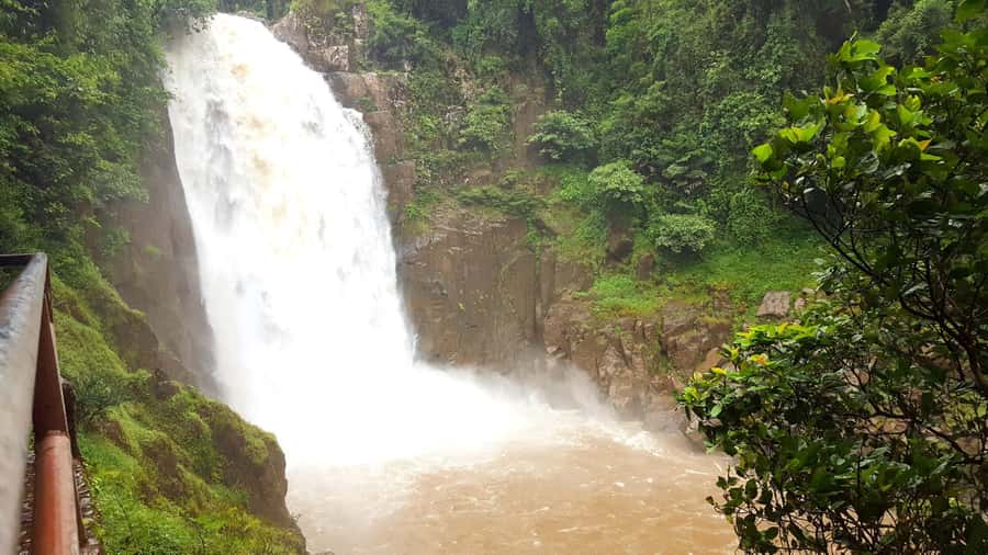 Khao Yai National Park: 2-Day Private Tour from Bangkok - Should You Book It?