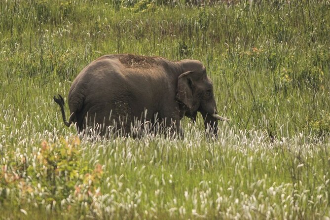 Khao Yai National Park Full-Day From Bangkok - Including Ticket - The three-hour ride to the park
