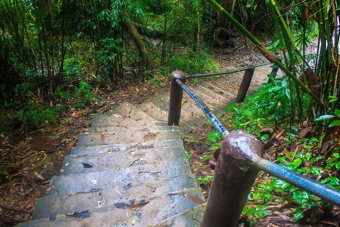 Khao Yai National Park Full-Day From Bangkok - Including Ticket - Wildlife sightings require luck and patience