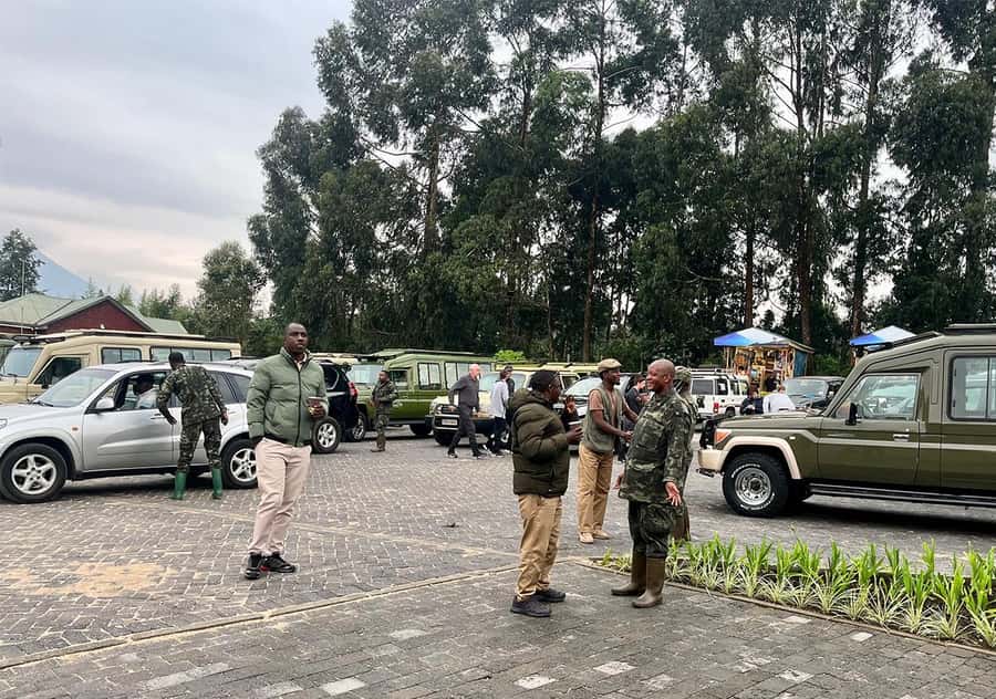 Kigali: Rwanda Gorilla Tracking in Volcanoes National Park - Who will enjoy this day most