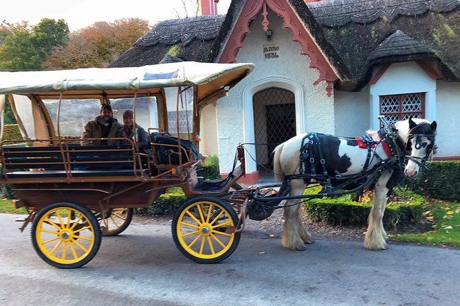 Killarney National Park Tour - Ross Castle: Pick the Route That Fits Your Day