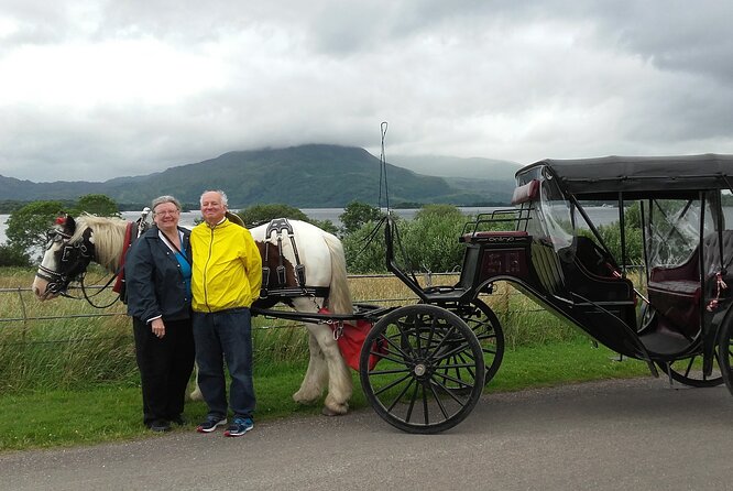 Killarney National Park Tour - Price, Timing, and Who Gets the Best Value