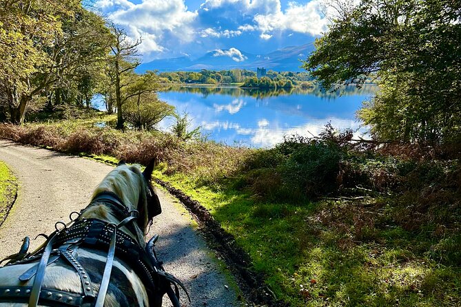 Killarney National Park Tour - What to Know Before You Book