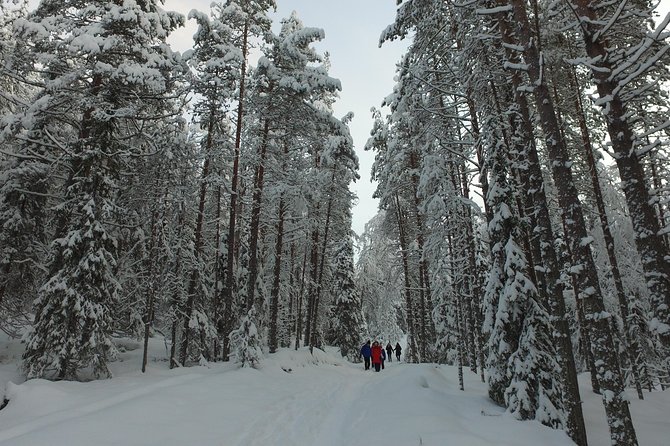 Korouoma national park and frozen waterfalls hiking tour - The 9:00 a.m. start and hotel pickup