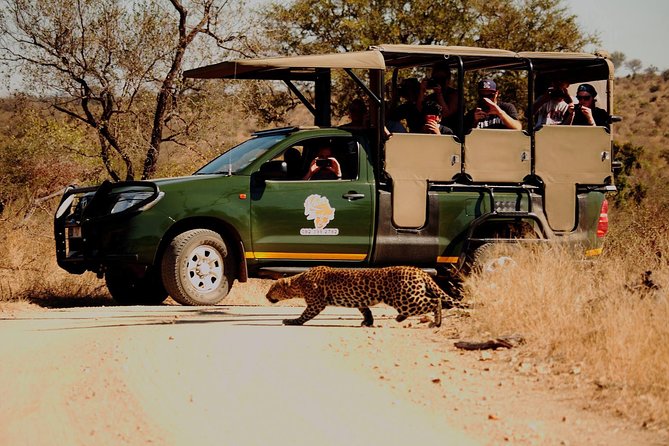 Kruger National Park Full Day Private safari - Why the private format matters in Kruger