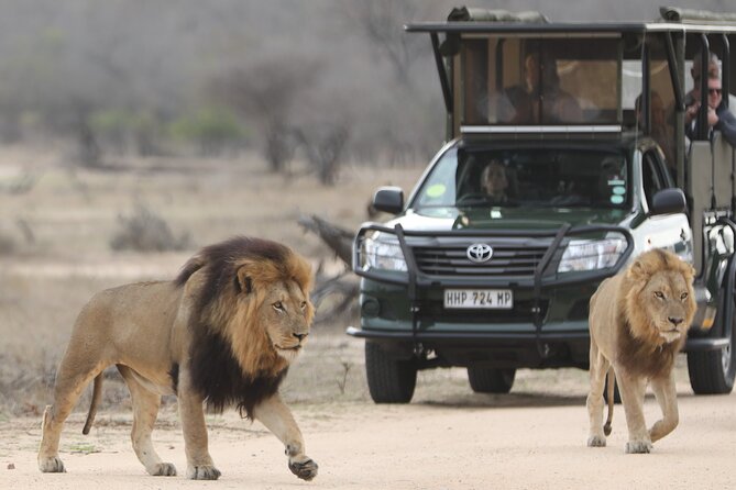 Kruger National Park Full Day Private safari - Breakfast at a rest camp