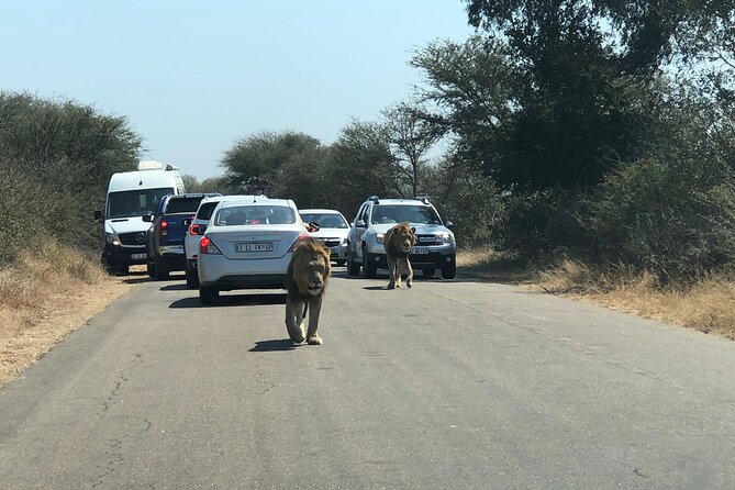 Kruger National Park Full-Day Tour - Who will get the most from the $250 price