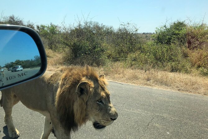 Kruger National Park Full-Day Tour - Six hours inside Kruger National Park