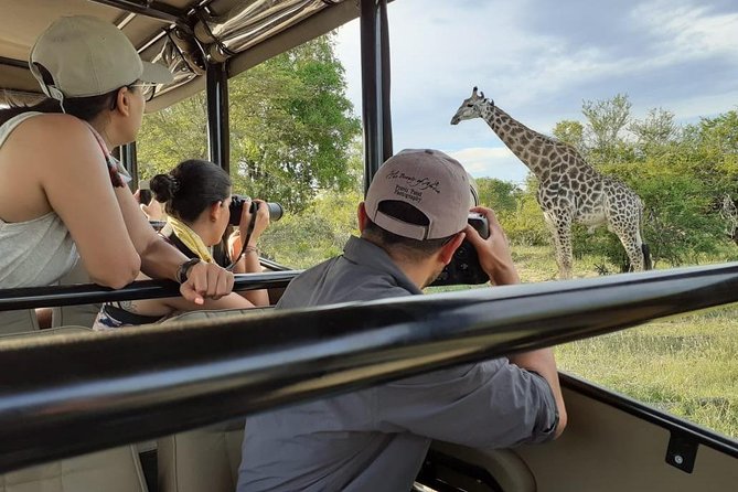 Kruger National Park Morning Safari 2 people minimum - The Big Five, with realistic expectations