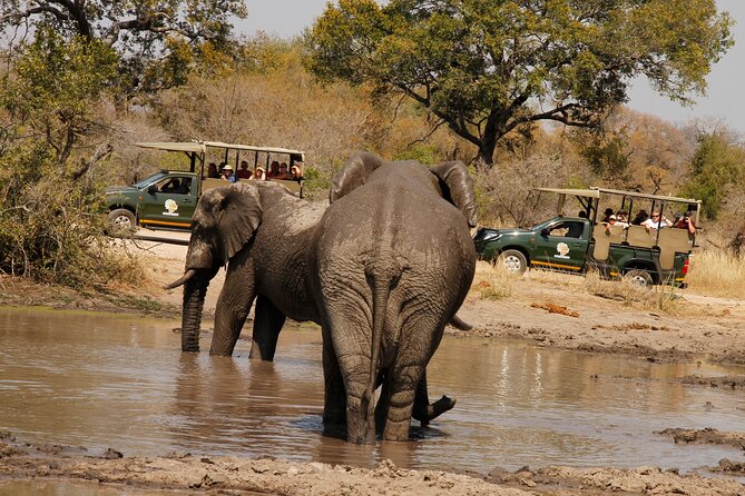 Kruger National Park sunrise Morning Private safari - Why the sunrise start is worth the alarm