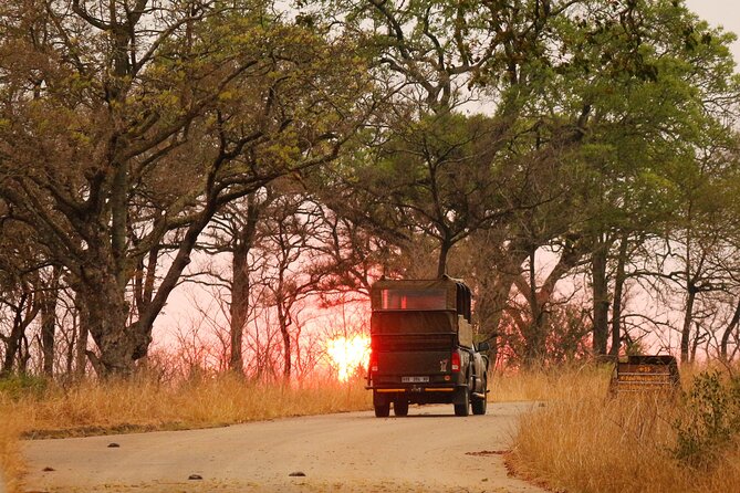 Kruger National Park sunrise Morning Private safari - Birds and smaller creatures add depth