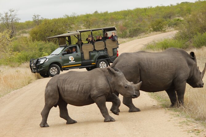 Kruger National Park sunrise Morning Private safari - What $131.13 buys you