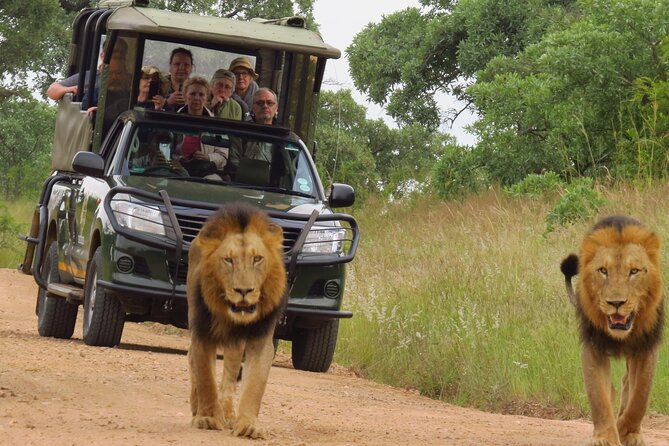 Kruger National Park sunrise Morning Private safari - Entering Kruger after the gates open