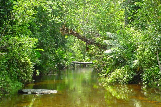 Kulen National Park Ticket - What the $19 price really covers