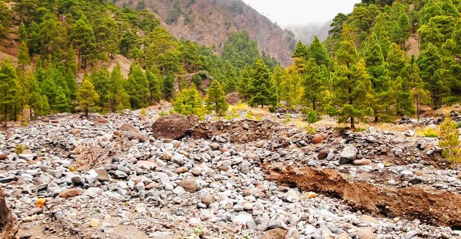 La Palma: Caldera de Taburiente National Park Guided Hike - Why Caldera de Taburiente is worth your day