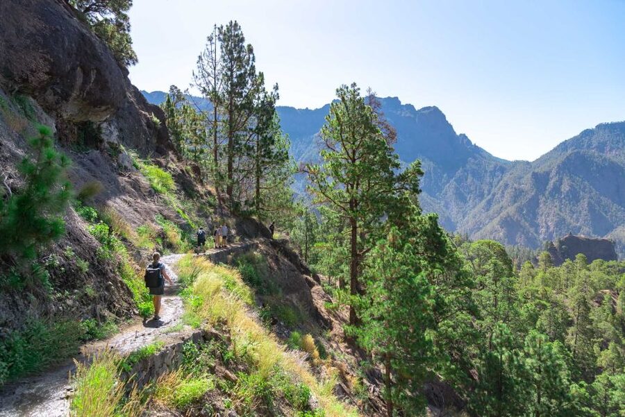 La Palma: Caldera de Taburiente National Park Guided Hike - What the guide adds to the walk
