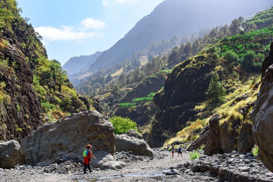 La Palma: Caldera de Taburiente National Park Guided Hike - Is $49 a fair price?