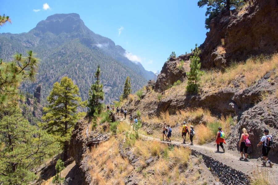 La Palma: Caldera de Taburiente National Park Guided Hike - From the island pickup point to Los Brecitos