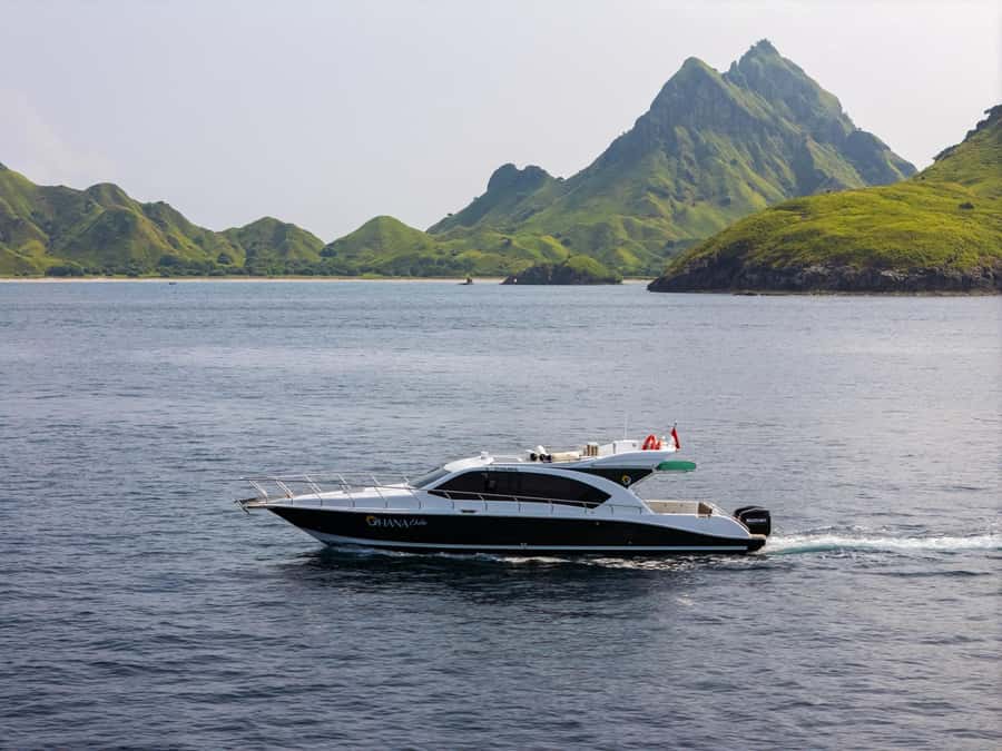 Labuan Bajo: Komodo National Park Full-Day Speedboat Tour - Why This One-Day Route Works