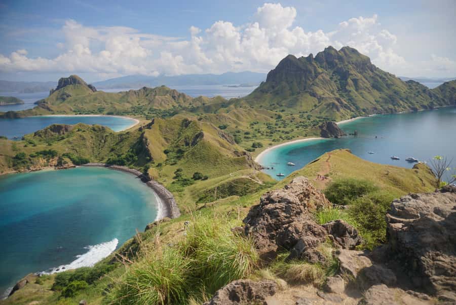 Labuan Bajo: One Day Tour to Explore Komodo National Park - Meeting Komodo dragons on Komodo Island