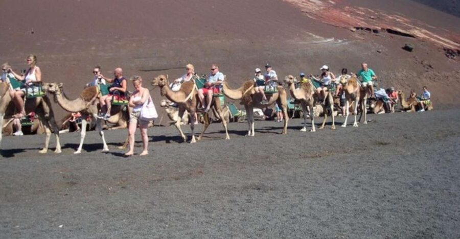 Lanzarote: Timanfaya National Park Tour - Echadero de Camellos and the Optional Ride