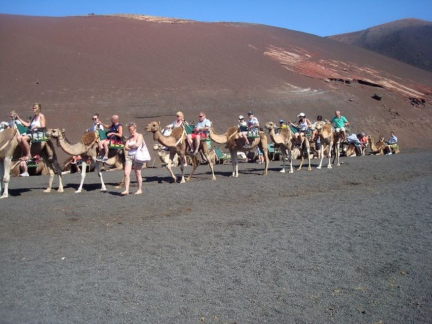 Lanzarote: Timanfaya National Park Tour - Who Will Enjoy This Tour Most?