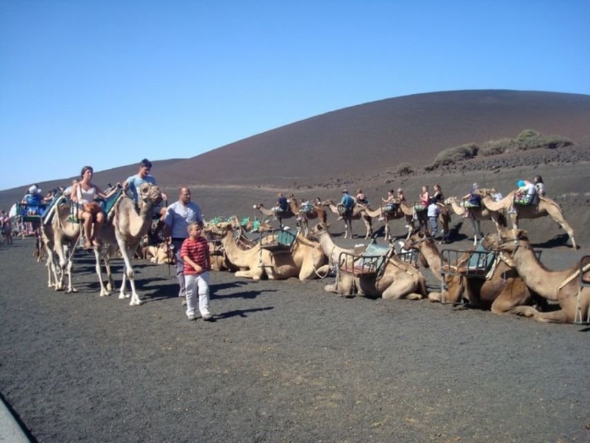 Lanzarote: Timanfaya National Park Tour - The Timanfaya Route: The Best Part of the Day
