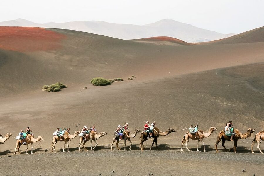 Lanzarote: Timanfaya National Park Volcanic Craters Tour - Key points to know before you book