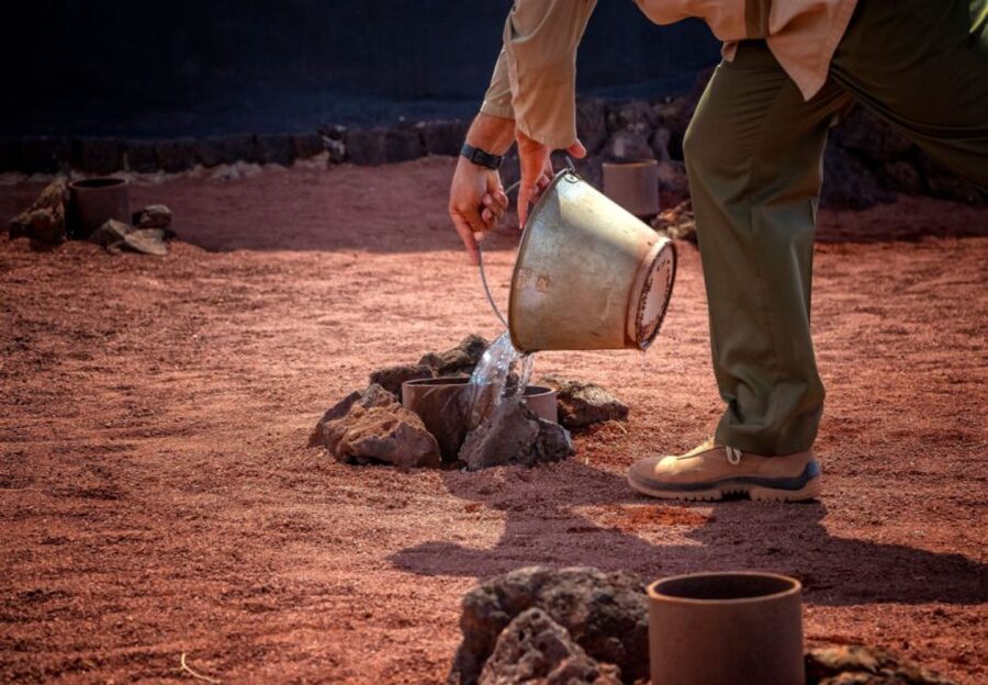 Lanzarote: Timanfaya National Park Volcanic Craters Tour - Timing, comfort, and family practicality