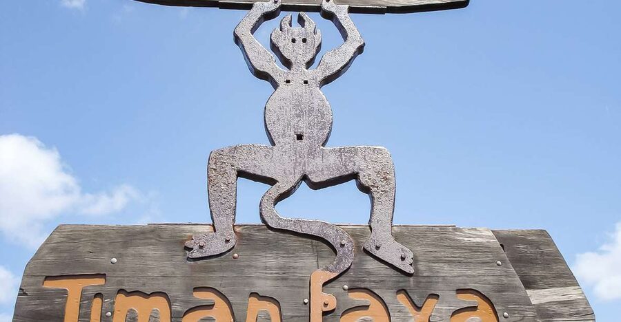 Lanzarote: Timanfaya National Park Volcanic Craters Tour - Hotel pickup across southern Lanzarote