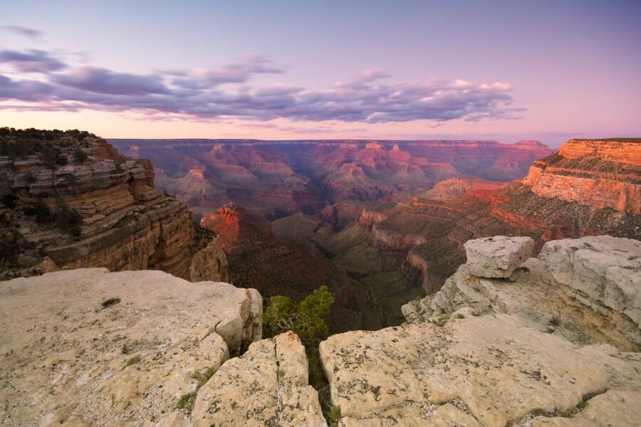 Las Vegas: Grand Canyon National Park Day Tour - The 80-minute opening ride and Arizona break