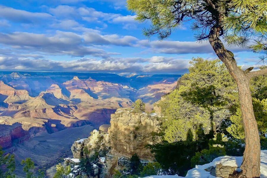 Las Vegas: Grand Canyon National Park South Rim Guided Tour - Three hours at the South Rim: how to use them